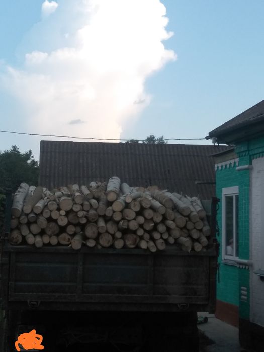 Продам дрова  дуб акація