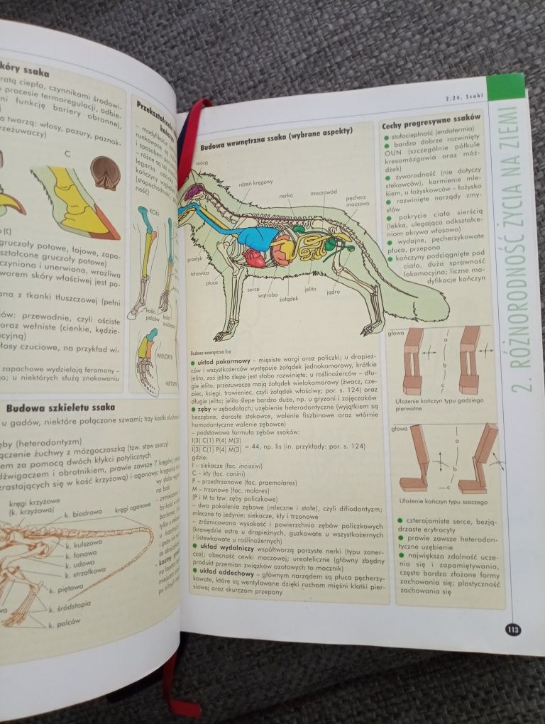 Vademecum z biologii z operonu 2006