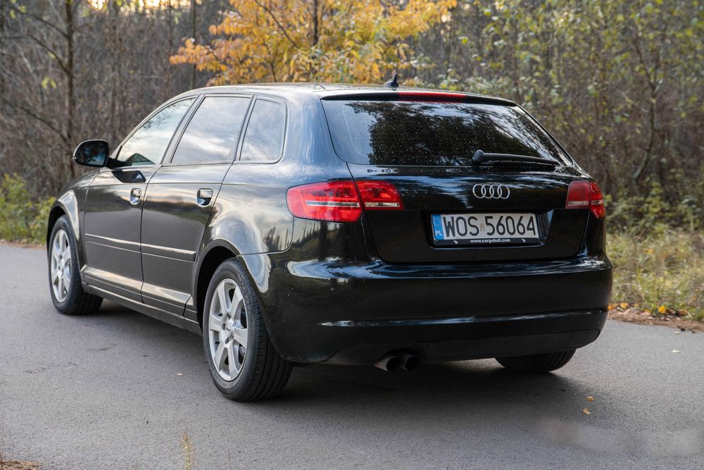 Audi A3 8P 1.9TDI