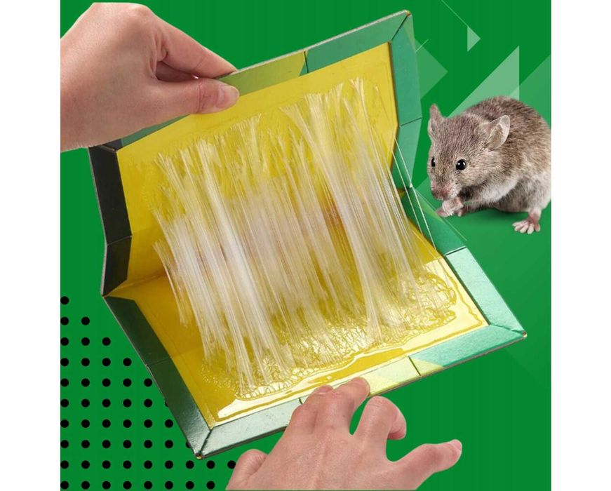 30x Lep Pułapka na Myszy Szczury Gryzonie Silny Klej Myszołapka Aromat