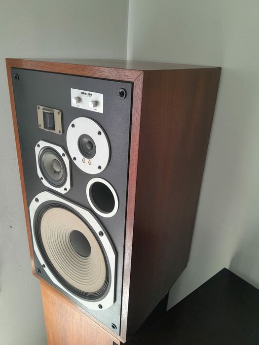 Colunas Pioneer HPM 100
