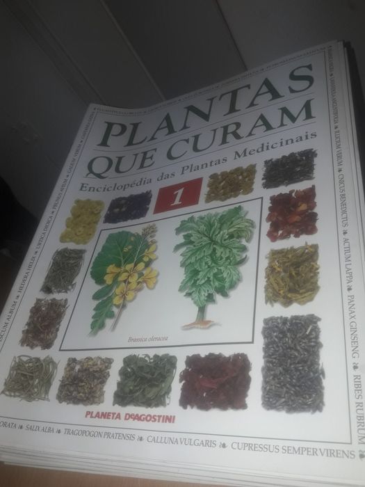 Enciclopédia  Plantas que Curam