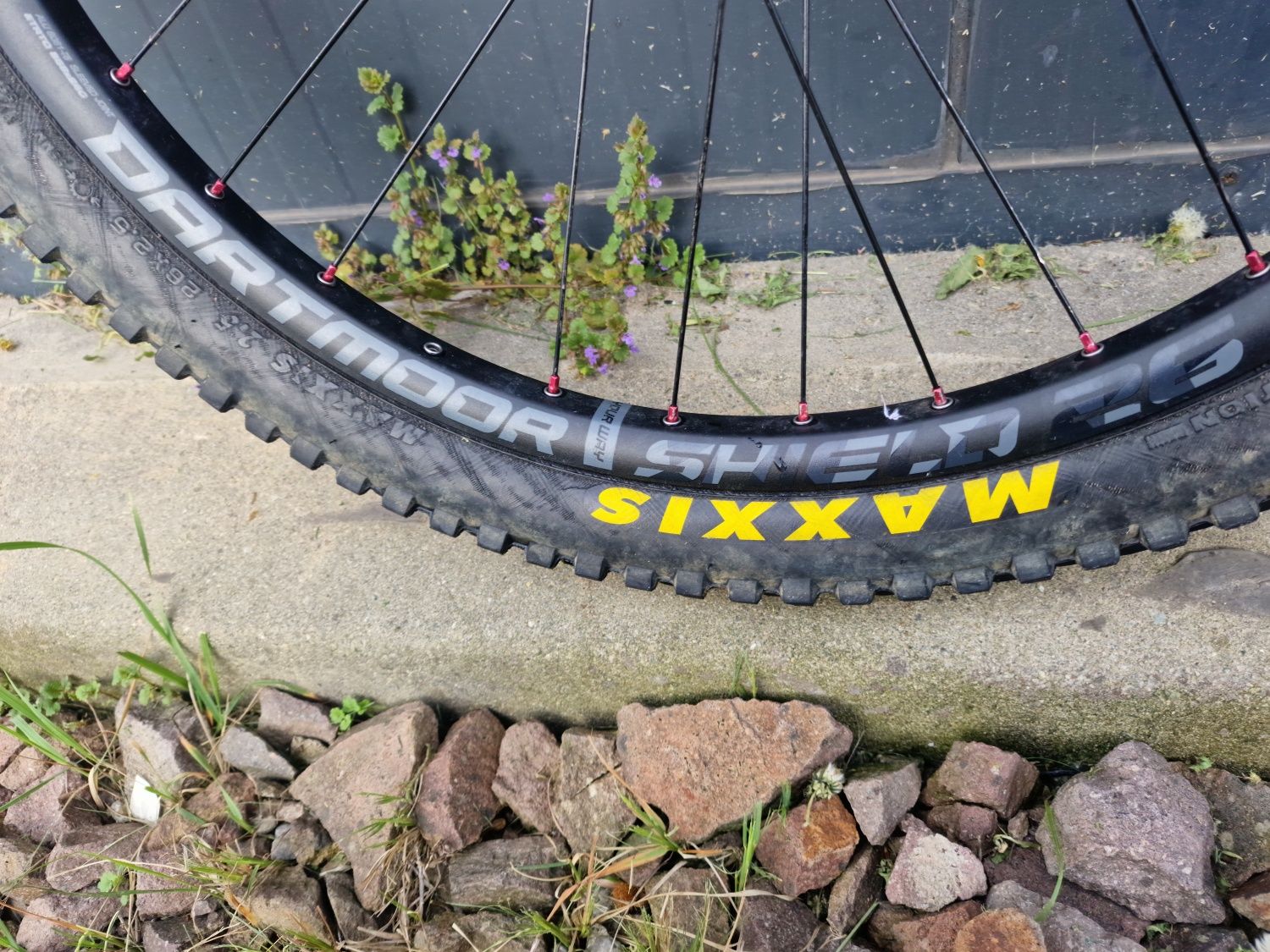Zestaw kół kore torsion i dartmoor shield + opony maxxis 26