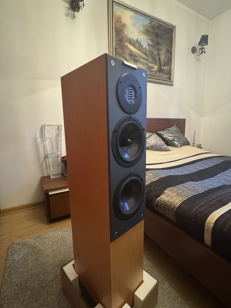 Audiovector m3 Avantgarde Maple
