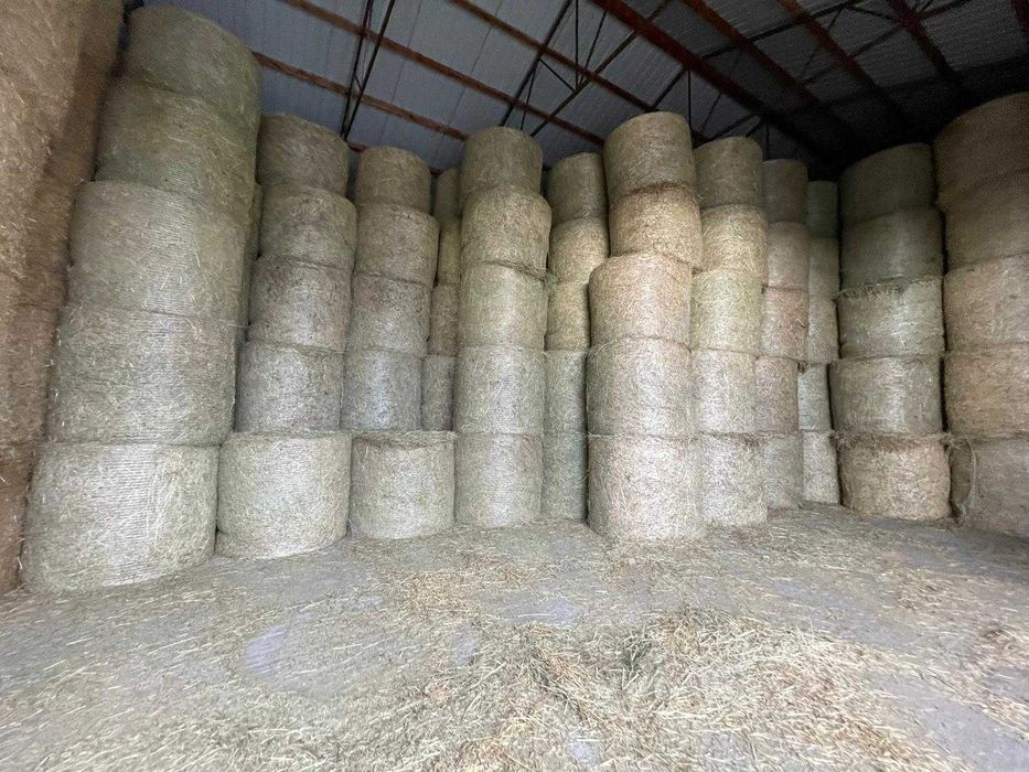 SŁOMA oraz SIANO na sprzedaż w belach 120x130cm ORAZ MAŁA KOSTKA