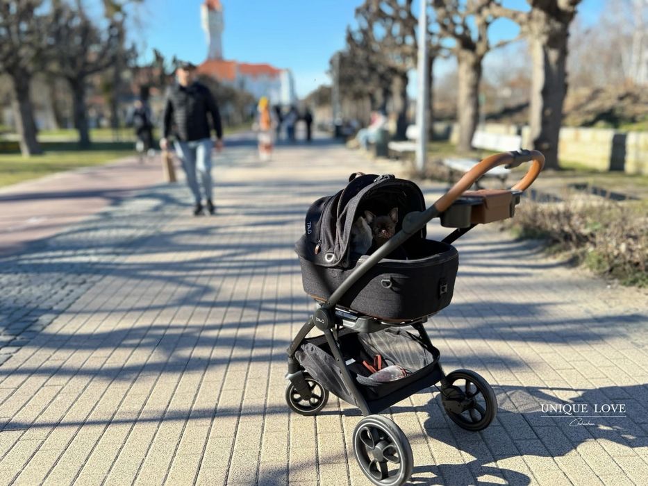 Tavo boski zestaw Mareve iso 5X wózek transporter dla psa kota