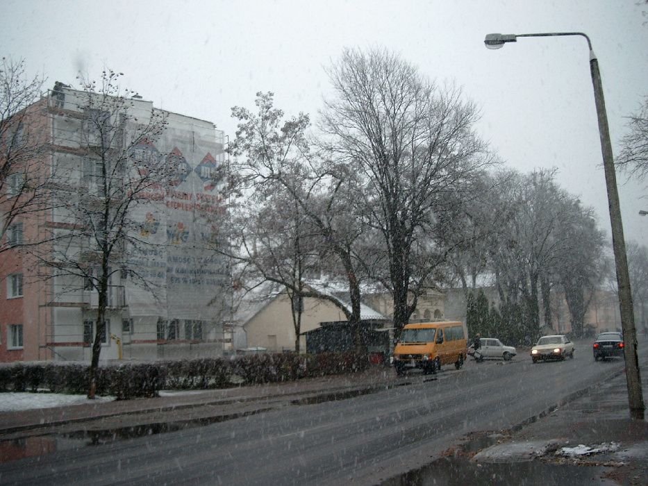 Siatka poliuretanowa do zabezpieczen elewacji