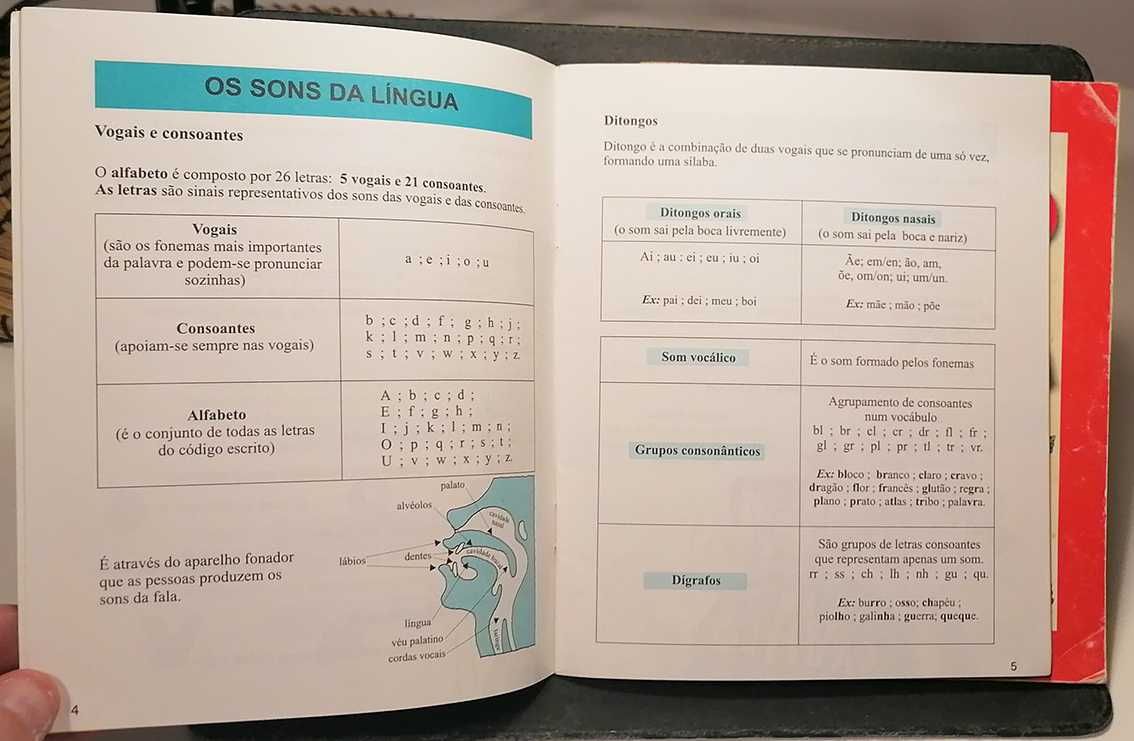 2 mini livros Ratinho