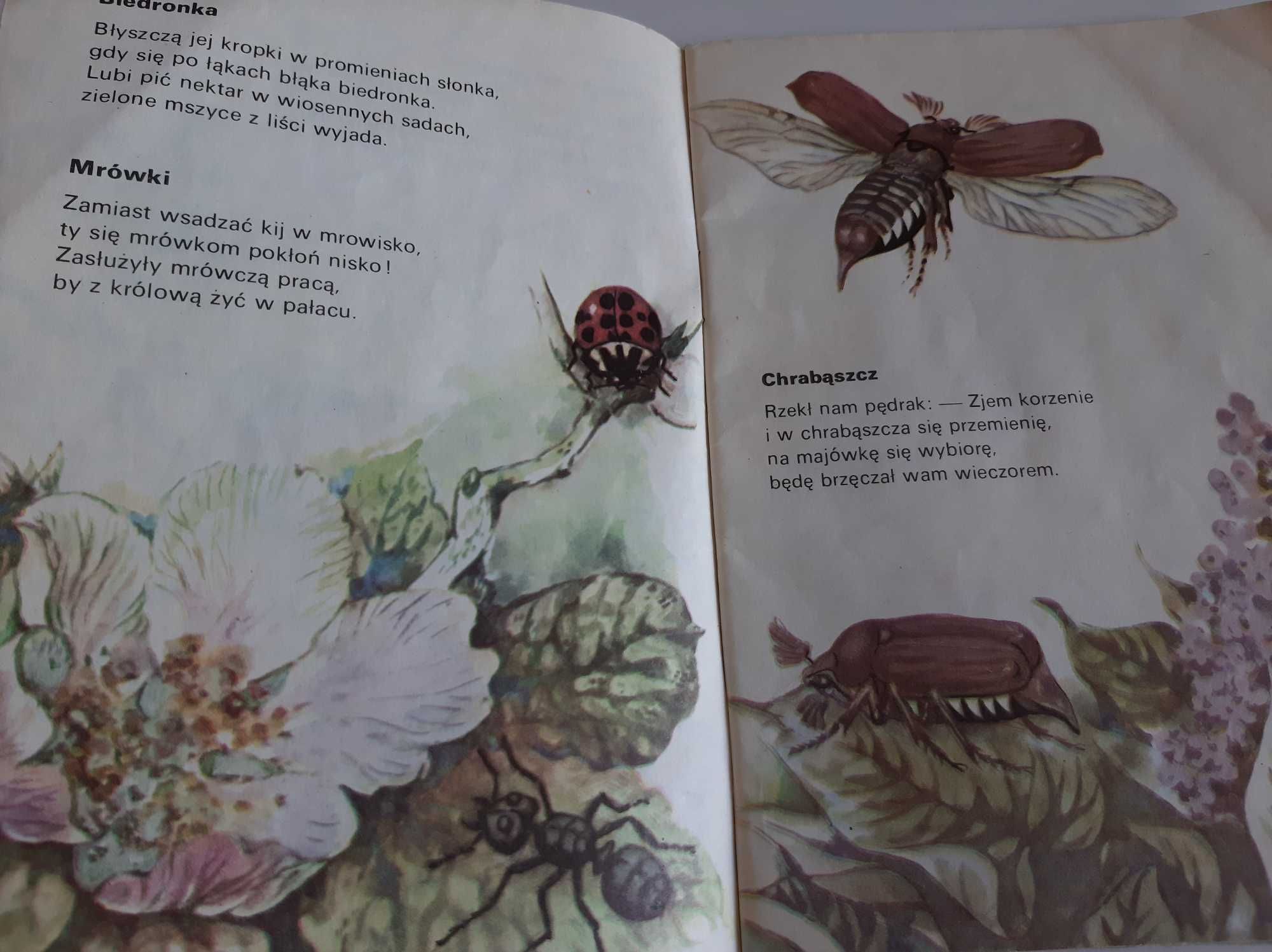 Co pełza i hasa po polach i lasach? Lech Konopiński.