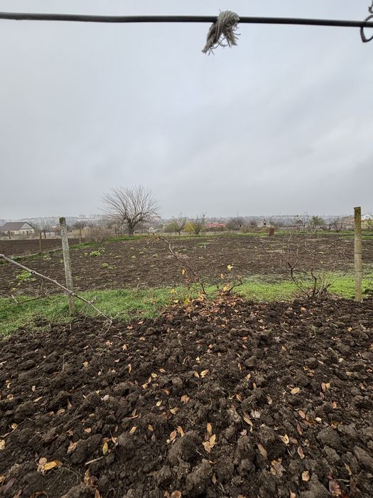 Продам участок в Сычавке