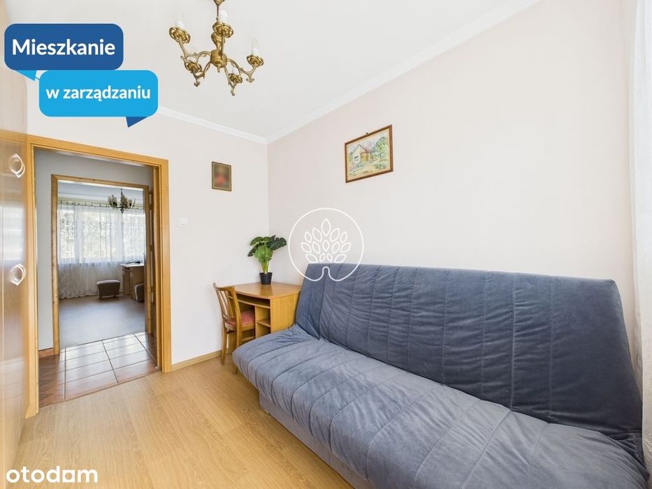 Dwupokojowe mieszkanie na wynajem - Błonie