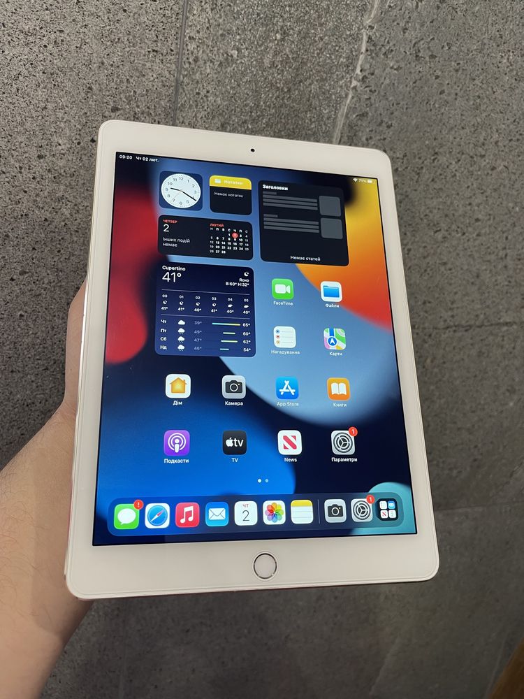 iPad Air 2 16gb Wi-Fi Gold (22)