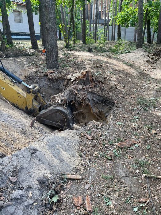 Обрізка дерев, Спил дерев, Валка, Корчування, Кронування дерев