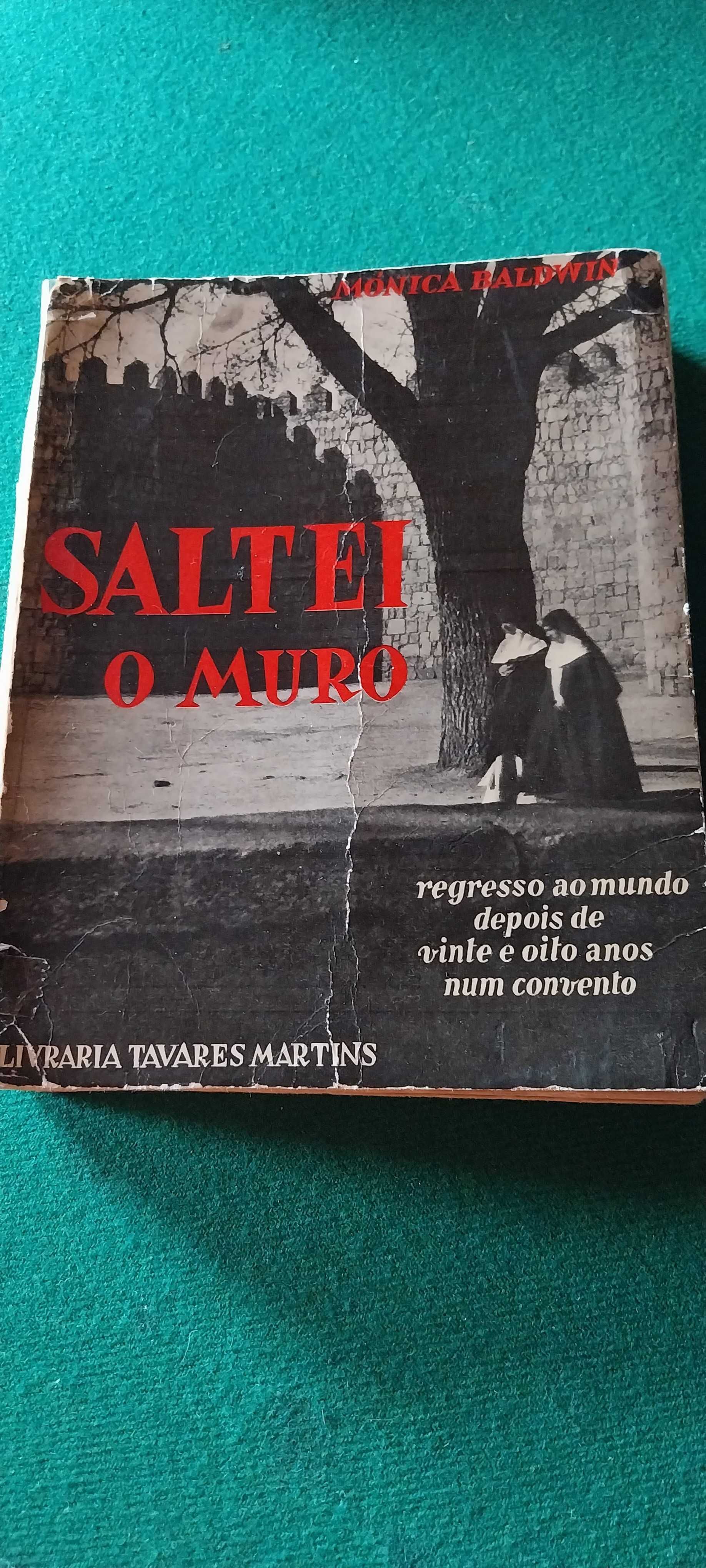 Saltei o Muro (Monica Baldwin)