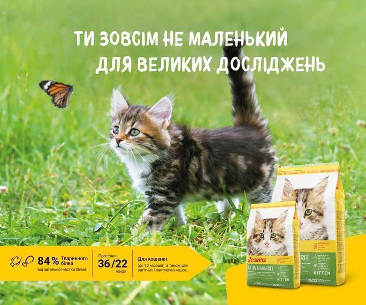 JOSERA Kitten grainfree 10кг Беззерновий корм для кошенят