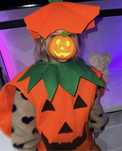Strój kostium dynia halloween