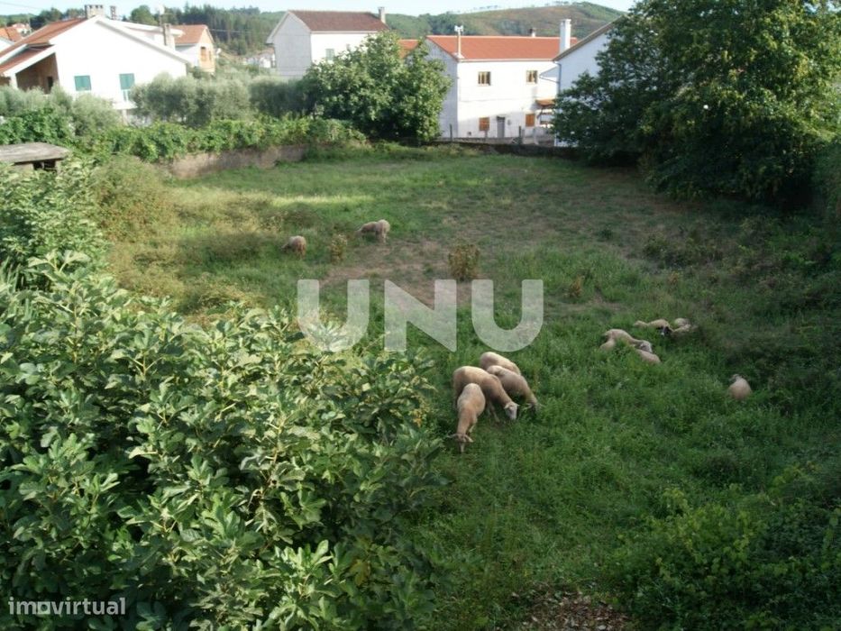 Terreno rústico com 775m2 para venda no Paúl, Covilhã!
