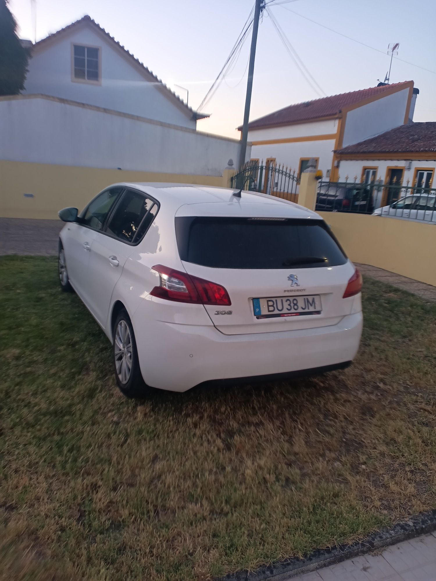 Peugeot 308 Puretch