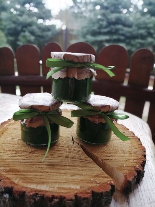 Czosnek niedźwiedzi pesto