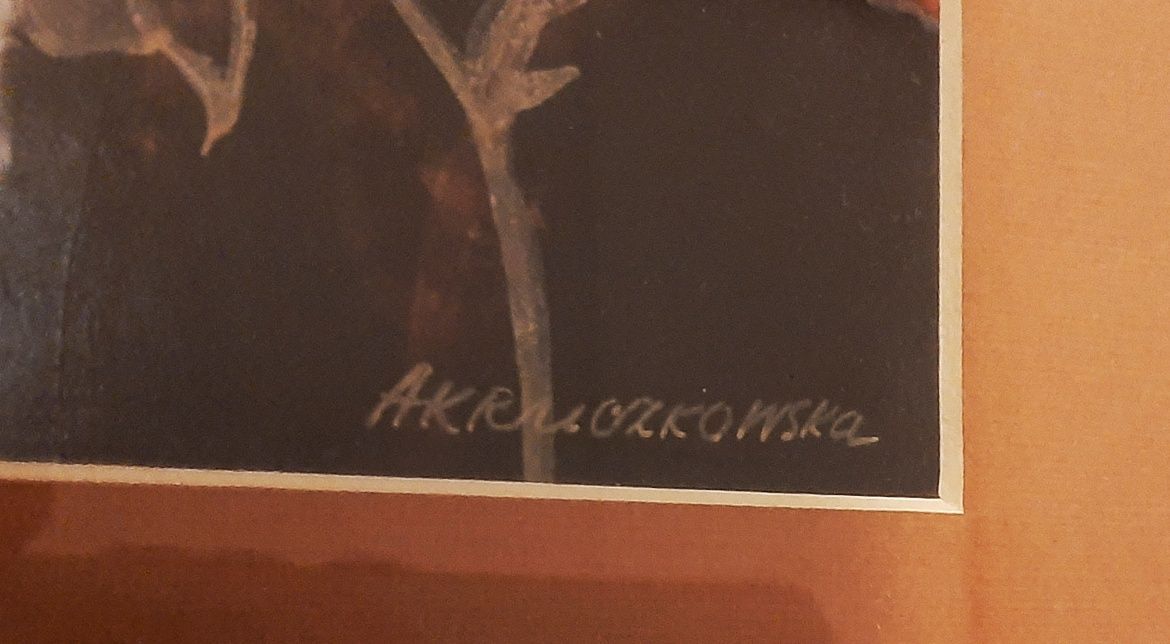Kolekcja obrazów kwiaty Anna Kruczkowska-Pieczykolan