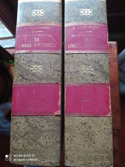 Novo Dicionário da Língua Portuguesa de Cândido de Figueiredo - 1922