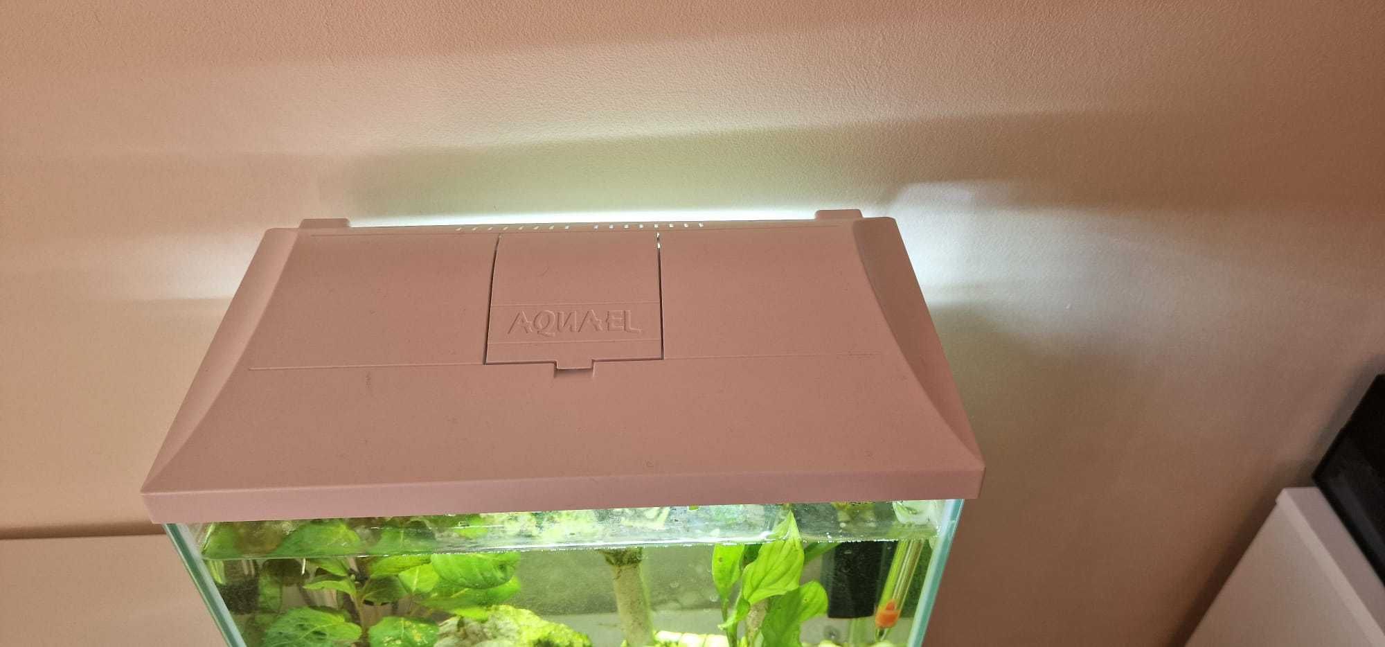 Aquário AquaEL LEDDY MINI 35 c/ filtro