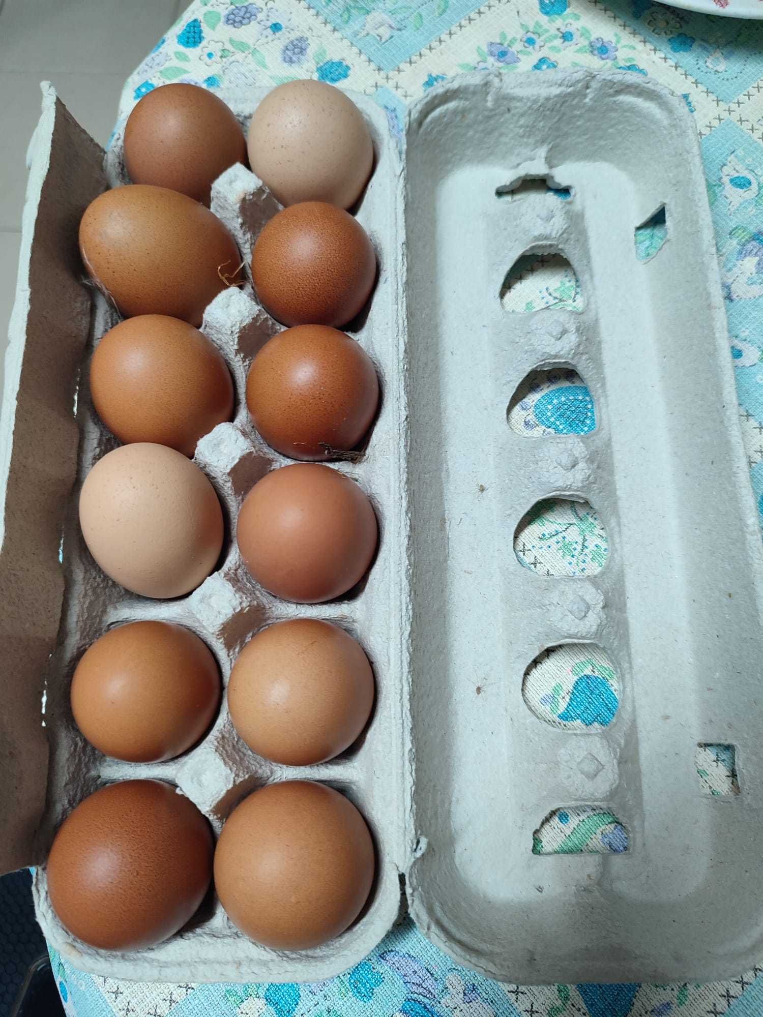 ovos caseiros (dúzia e meia dúzia)