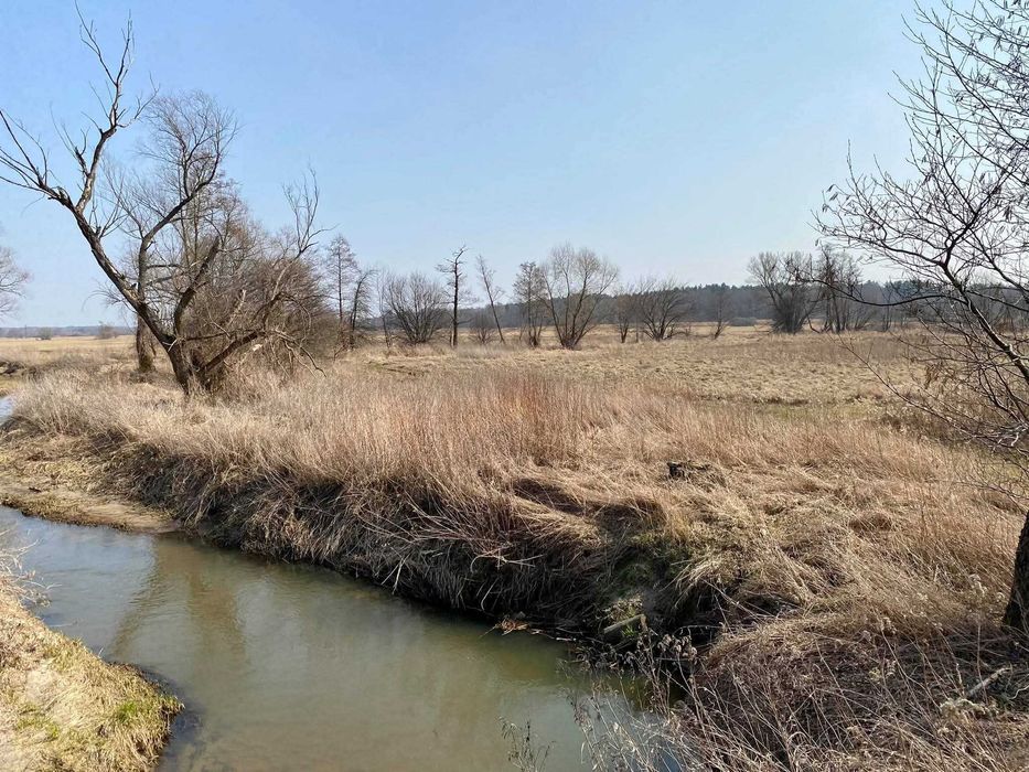 Działka z linią brzegową rzeki Mienia
