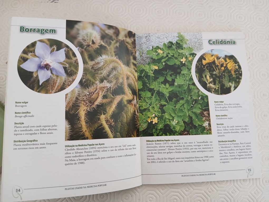 Plantas Usadas na Medicina Popular