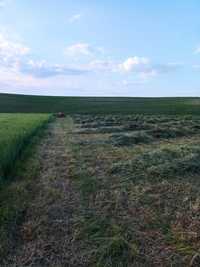 Сіно лугове в тюках.