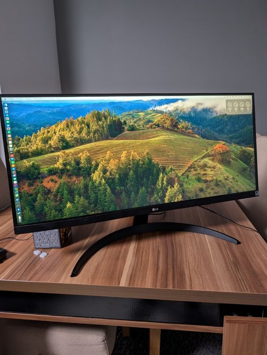 Monitor 29 21:9 LG 29WP500