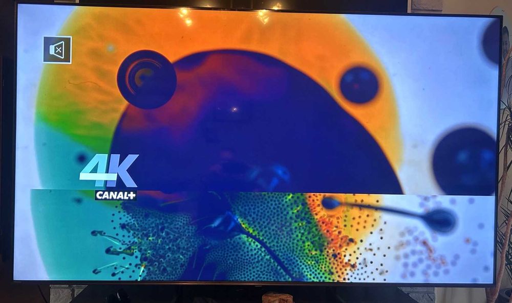 Telewizor HISENSE 75U6NQ 75" 4K Dolby Vision Atmos HDMI 2.1 Jak Nowy