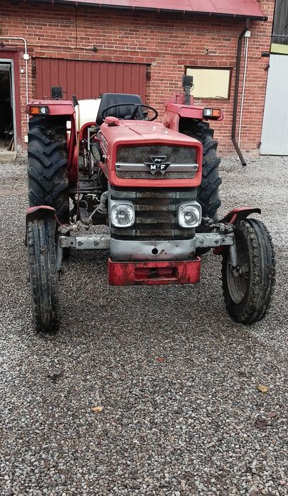 Massey Ferguson 135,235 Anglik