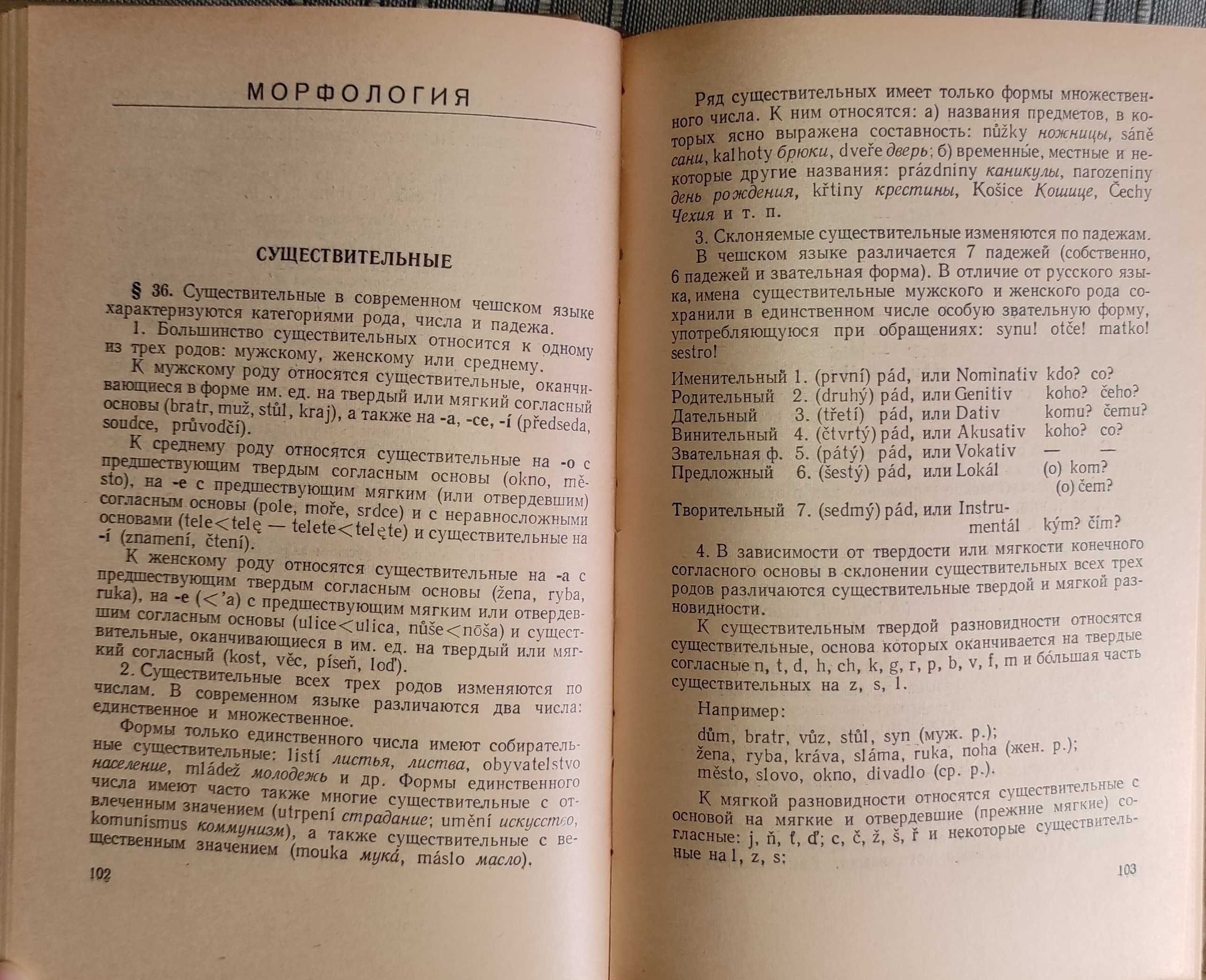 Книга "Чешский язык"