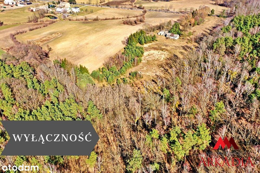 Działki z warunkami Gmina Wielgie