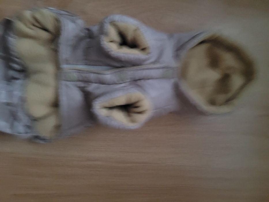 Ubranko dla malego psa