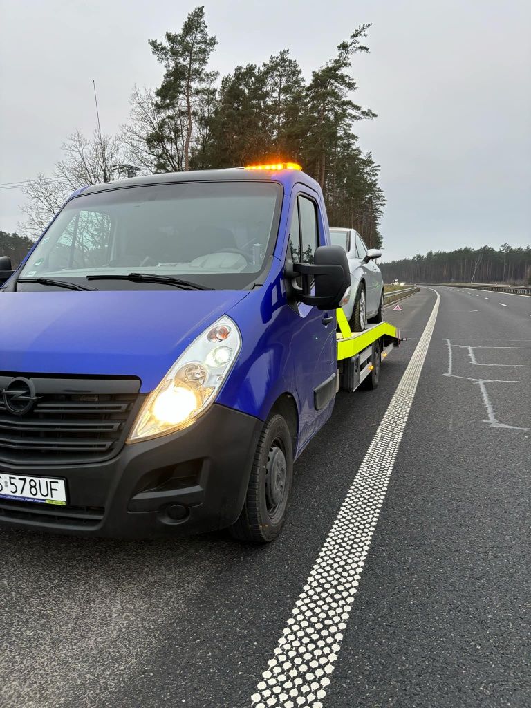 Podejmę współpracę Transport Przewoźnik Winda Chłodnia Izoterma Bus