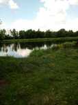 OGRODZONA DZIAŁKA 1338 m2 nad rzeką Narew, Ostrykół Dworski