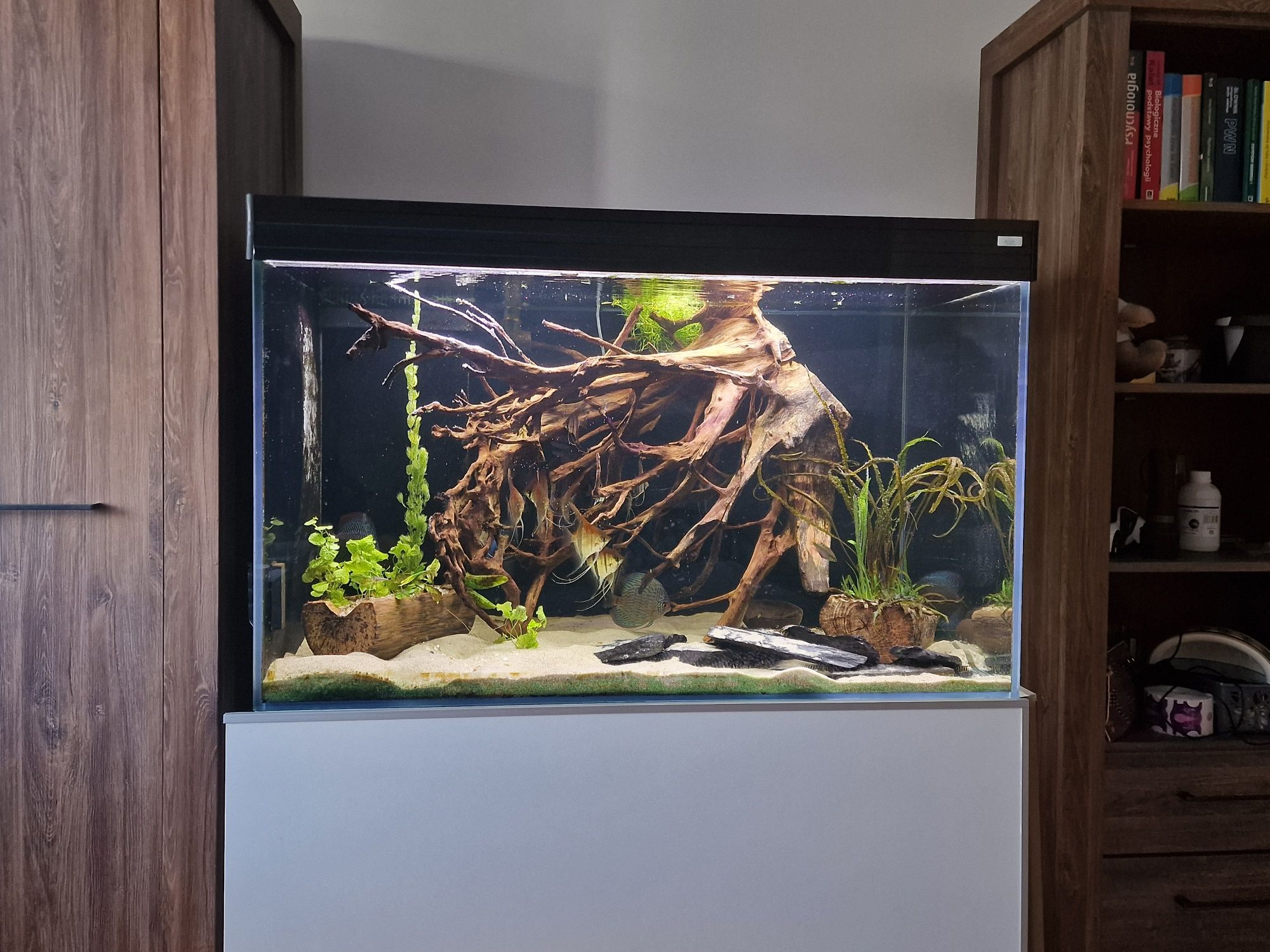Akwarium zbiornik 600l sump samp