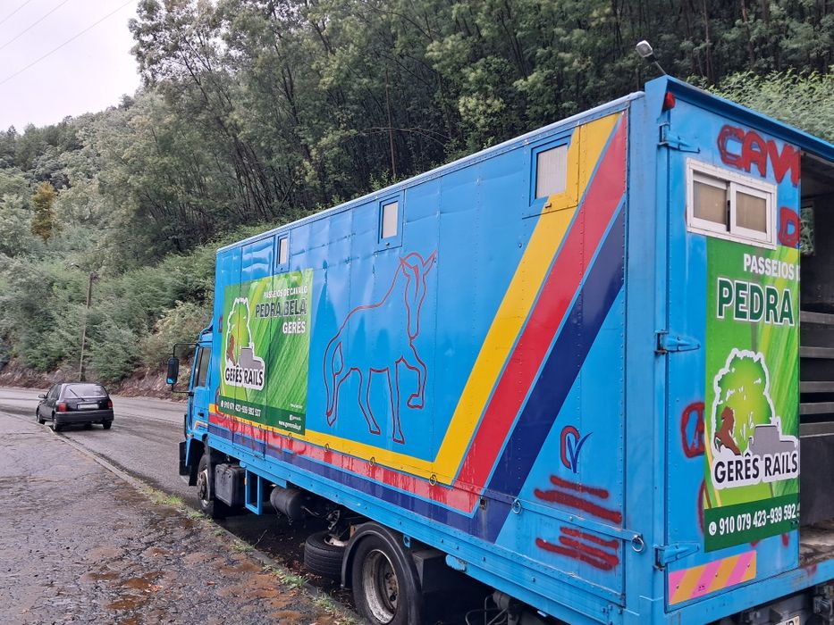 Vendo camião transporte de cavalos