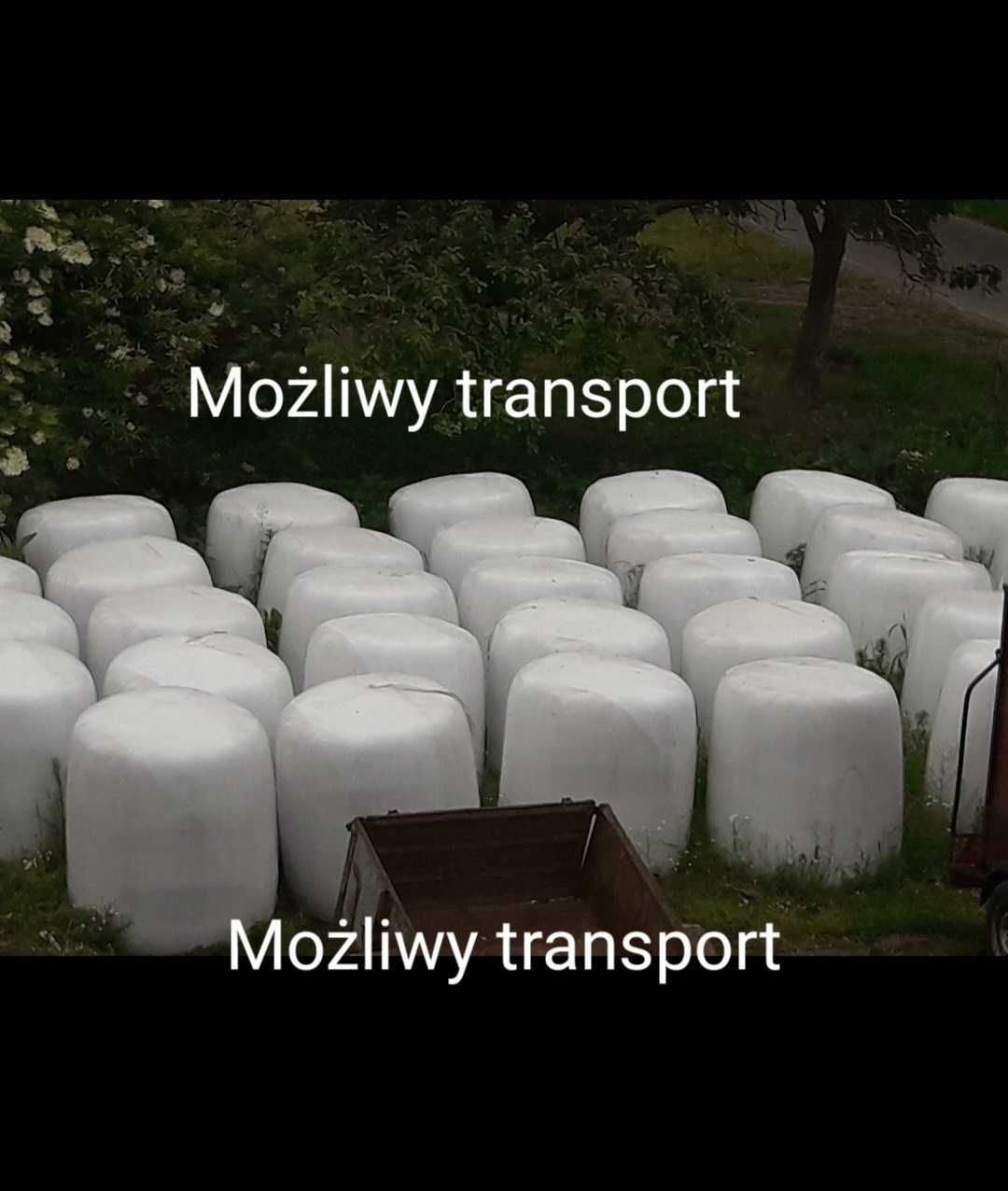 Wysłodki buraczane w balotach