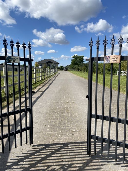 2 Domy, stajnia, padoki, 6 dzialek ok 3ha, bez Kowr