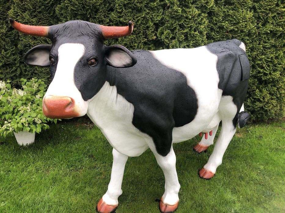 Sztuczna krowa,krowa do dojenia wysyłka cała Polska