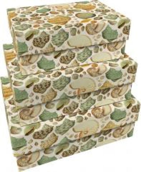 Pudełka ozdobne Muszle 3szt oprawa: folia