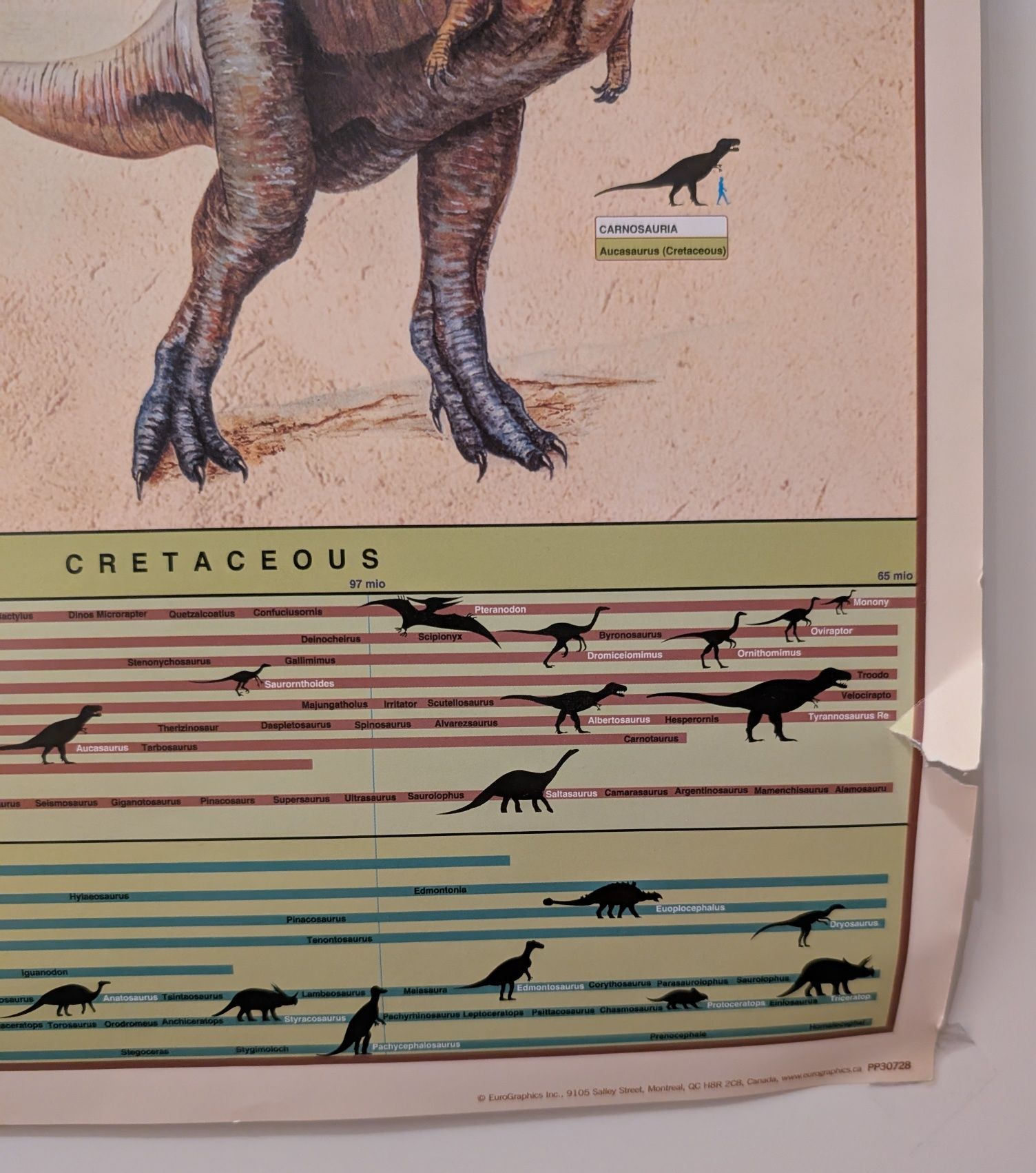 Plakat dinozaury dziecięcy do pokoju dziecięcego duży ponad A1