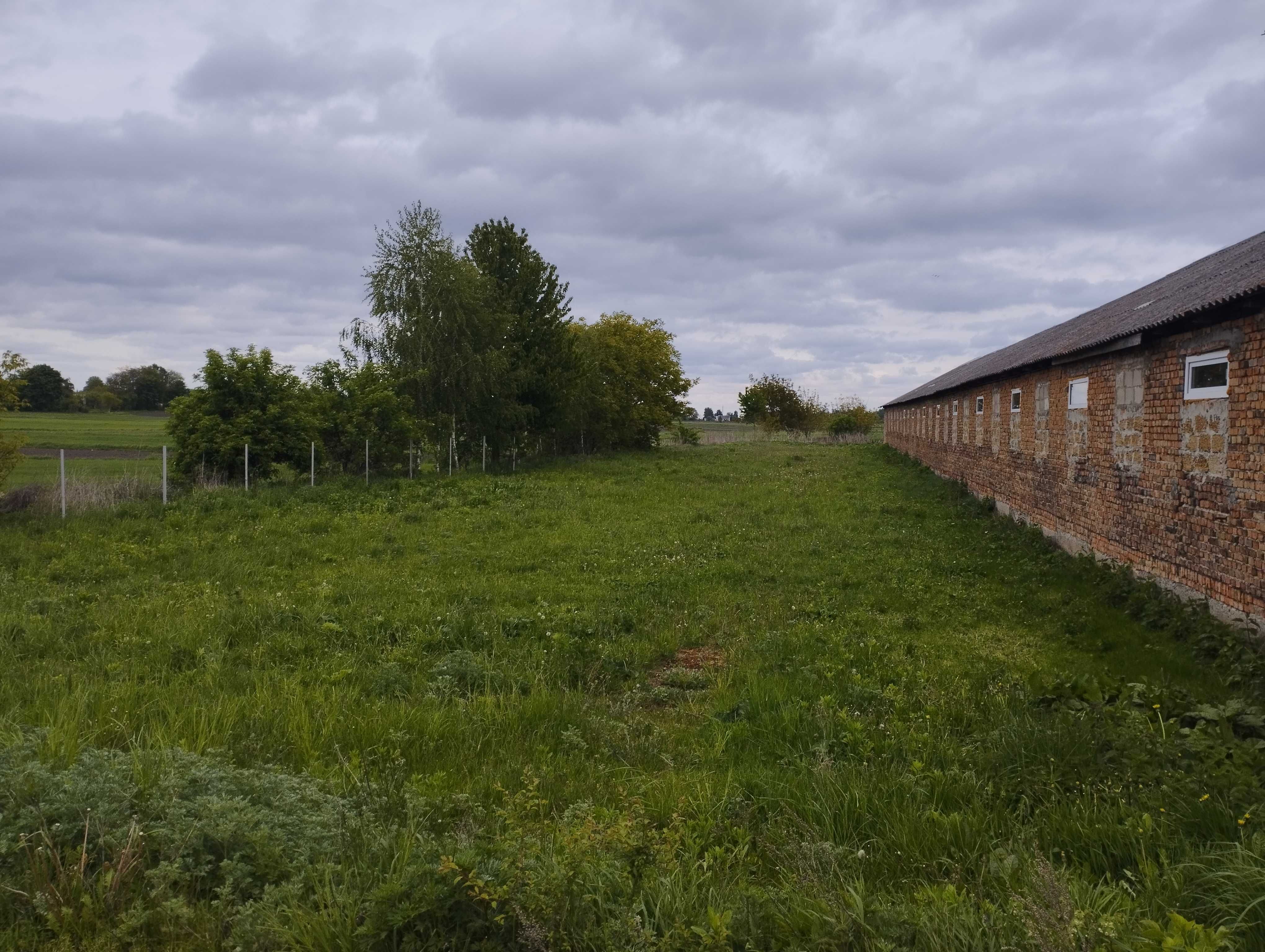 продам приміщення ферми