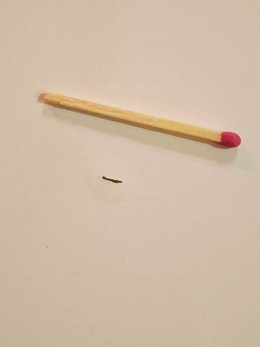 Стіл обідній круглий Б/В - 110 см - 200 см