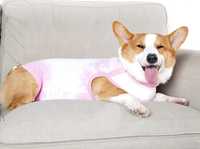 Ubranie ochronne piżamka dla psa