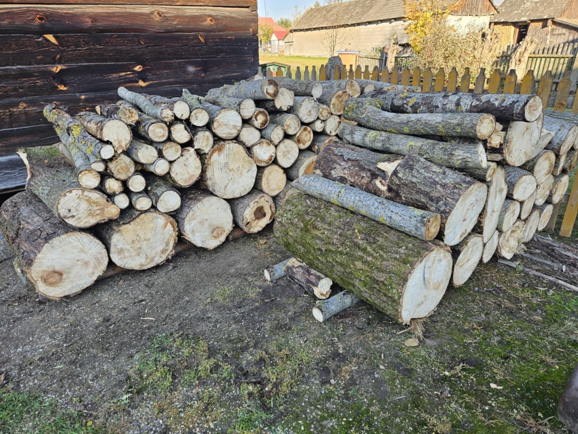 Drewno opałowe, pocięte: Jesion/Brzoza/Osika