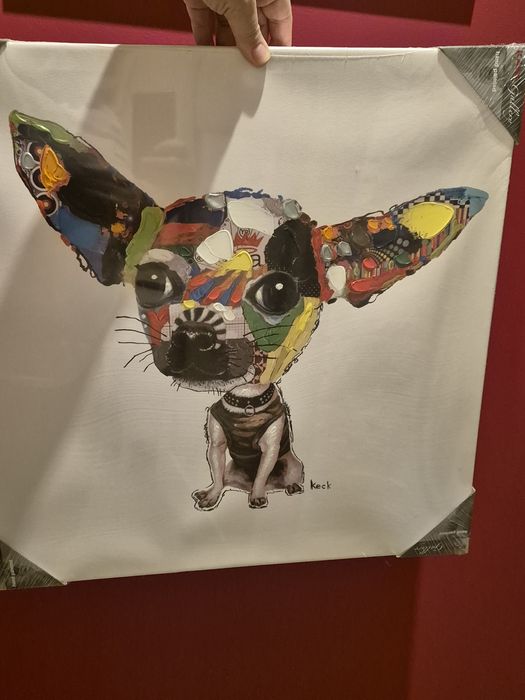 Obraz  Chihuahua  50X50 cm kolorowy